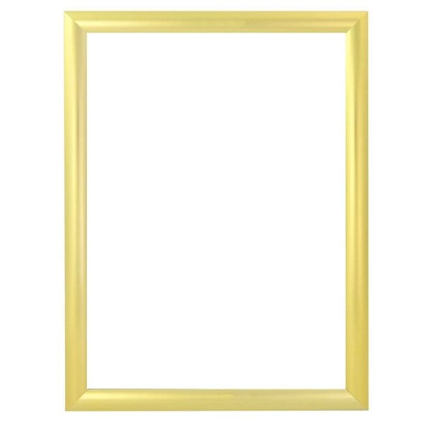 standard-profile-snap-frame-gold-1